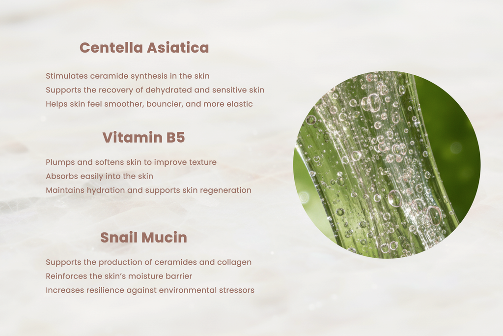 Infographic showing key benefits of Centella Asiatica, Vitamin B5, and Snail Mucin in Luna Apothecary hydrating and skin-repairing face serum.