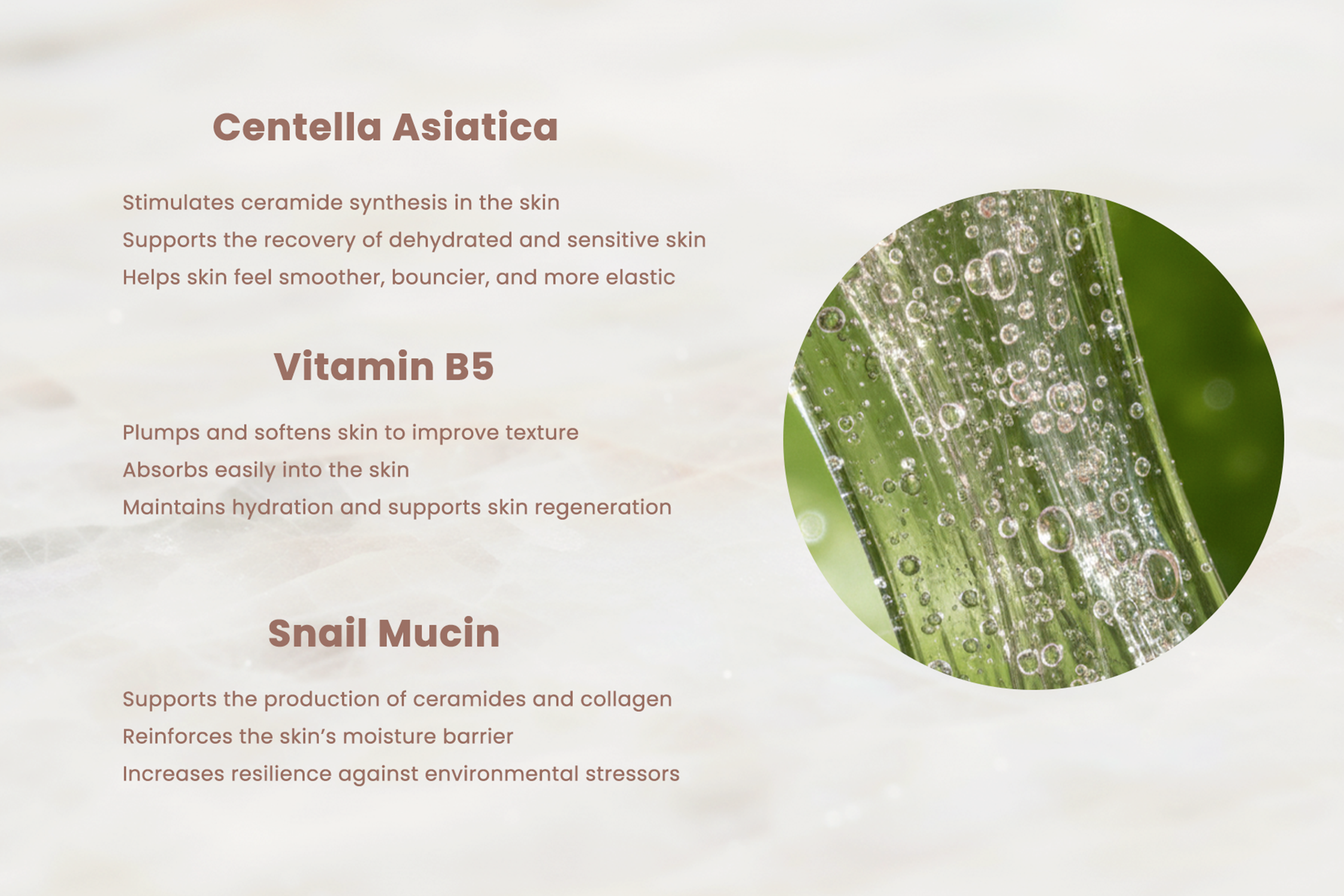 Infographic showing key benefits of Centella Asiatica, Vitamin B5, and Snail Mucin in Luna Apothecary hydrating and skin-repairing face serum.